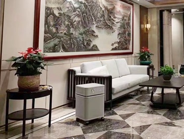 上海某别墅区租赁空气净化器 除甲醛异味